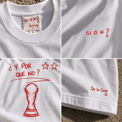 ¿Y POR QUÉ NO ?